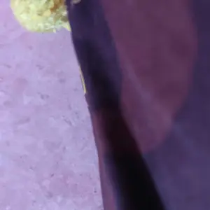 New 5D Kupu-kupu halus kristal berlian wajah dekorasi anak dan dewasa tahan air bermutu tinggi warna-warni super halus kristal