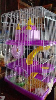Product Review of Kandang Hamster 303# / Rumah Hamster Sugar Glider / Tempat Tidur from m**n 0