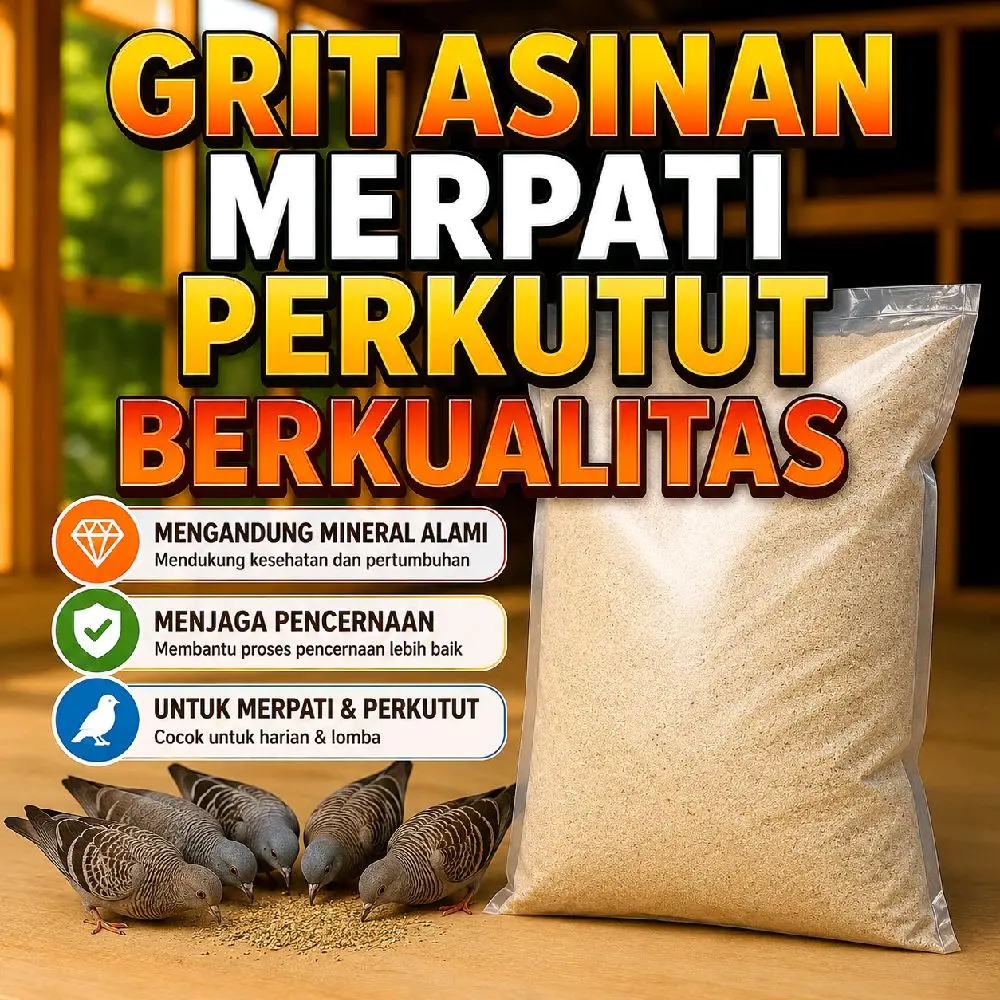 Grit asinan burung 1KG merpati premium hercules super grit asinan pigeon grit untuk semua burung makanan extra melancarkan pencernaan dan menguatkan tulang