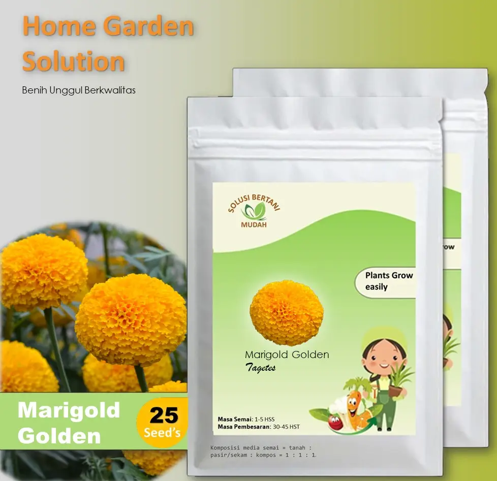 25 Bibit Benih Tanaman Bunga Marigold Golden