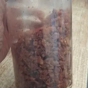 CEMILAN BABY FISH PEDAS GURIH DAUN JERUK 1KG BUMBU MELIMPAH CIKRUH COCOK JADI CEMILAN SETIAP HARI BERSAMA KELUARGA