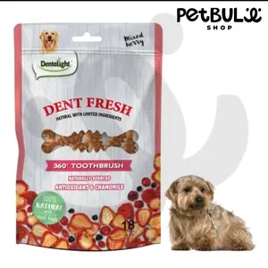 Dent Fresh Toothbrush 150 Gr 360, Vitamin C & Curcumin