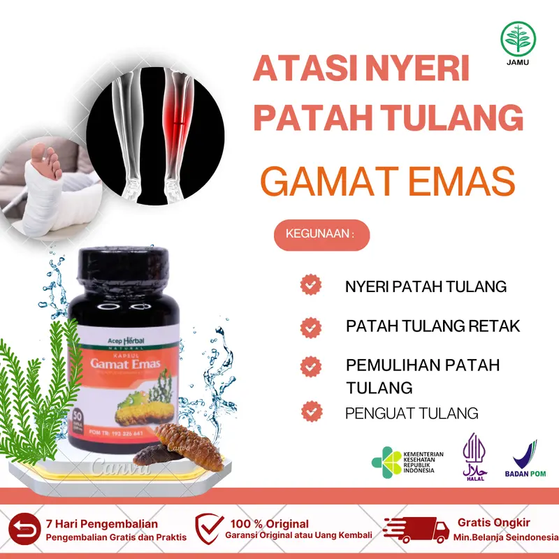 Pemulihan Patah Tulang, Penyambung Patah Tulang, Tulang Remuk, Tulang Bergeser, Tulang Retak Akibat Jatuh 0