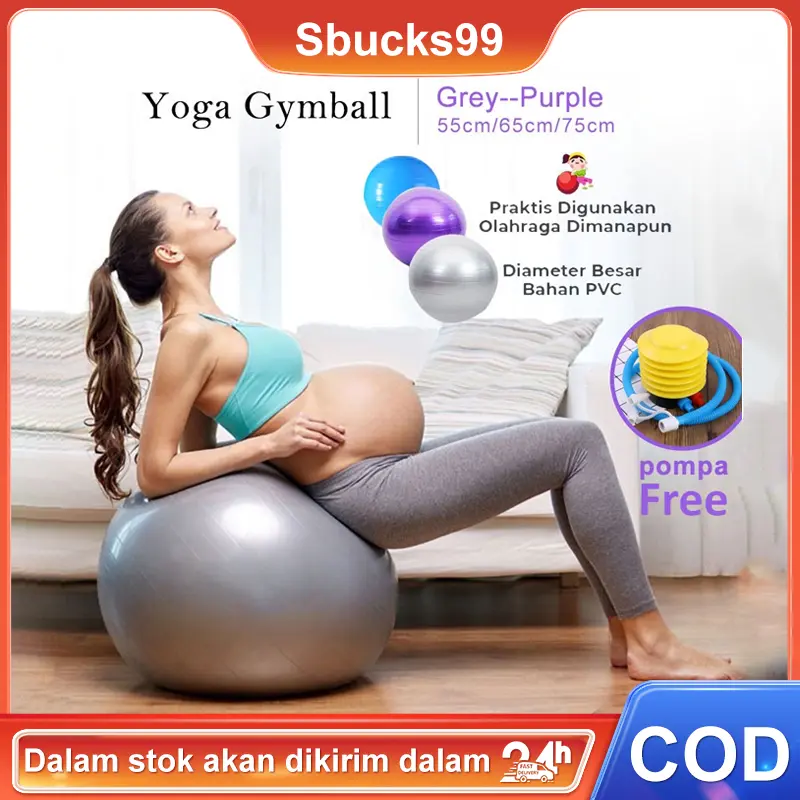 Gymball Speeds Senam Bola Gym Fitness Untuk Ibu Hamil Diameter 75cm Bola yoga alat FREE POMPA