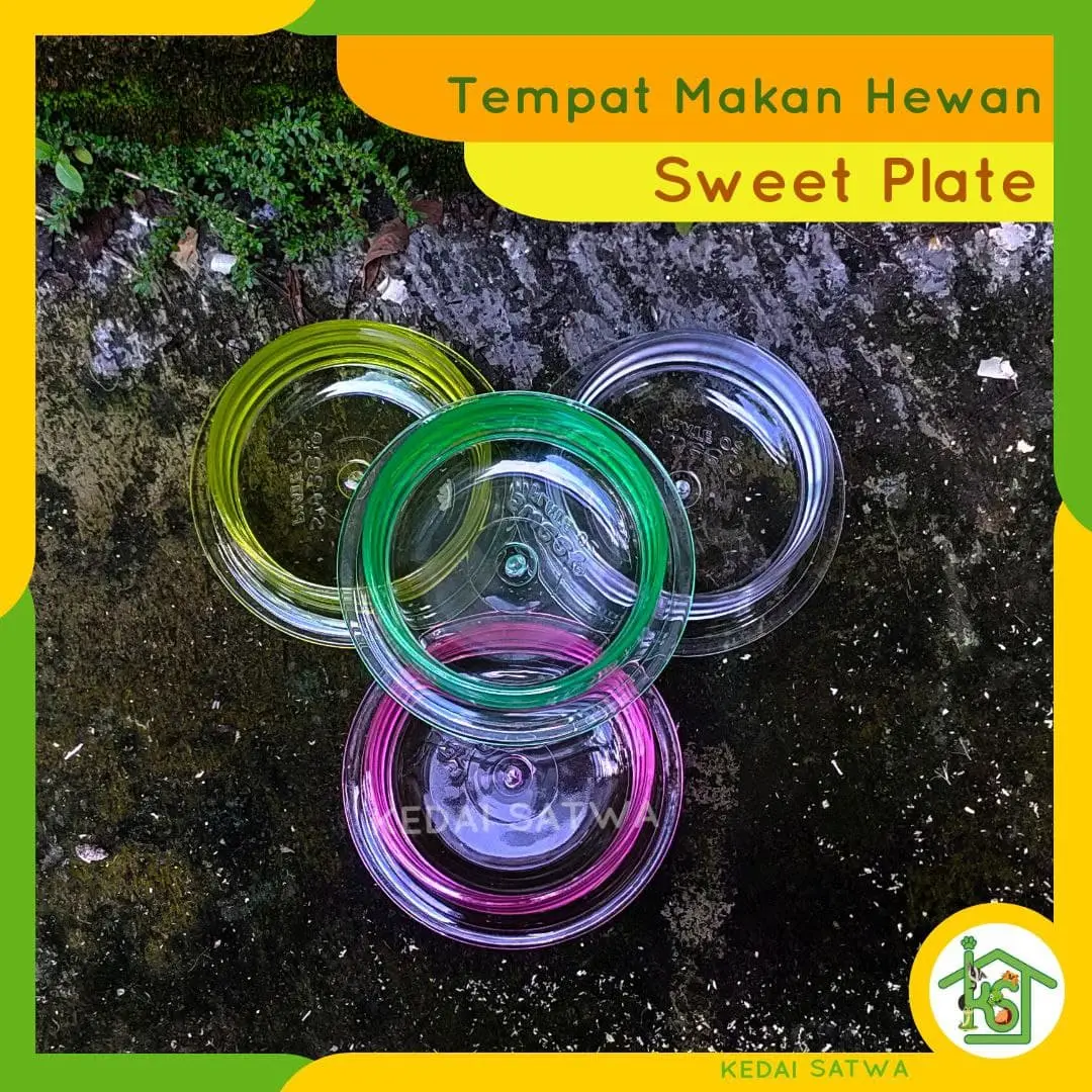 Tempat Makan Pakan Hamster Kucing Dry Food
