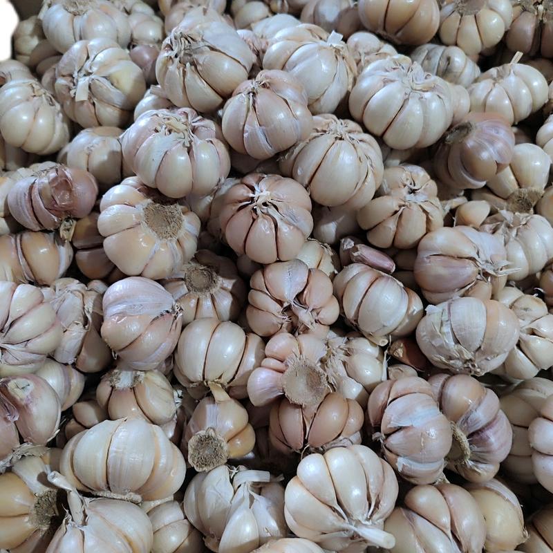 1kg tỏi sấy khô đả qua lột vỏ gia vị nấu ăn cần thiết cho không gian nhà bếp