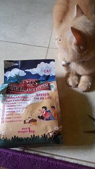 Product Review of Makanan Kucing Viral, Nutri Balance System (NBS) All Life - Cat Semua Usia from S**5 0