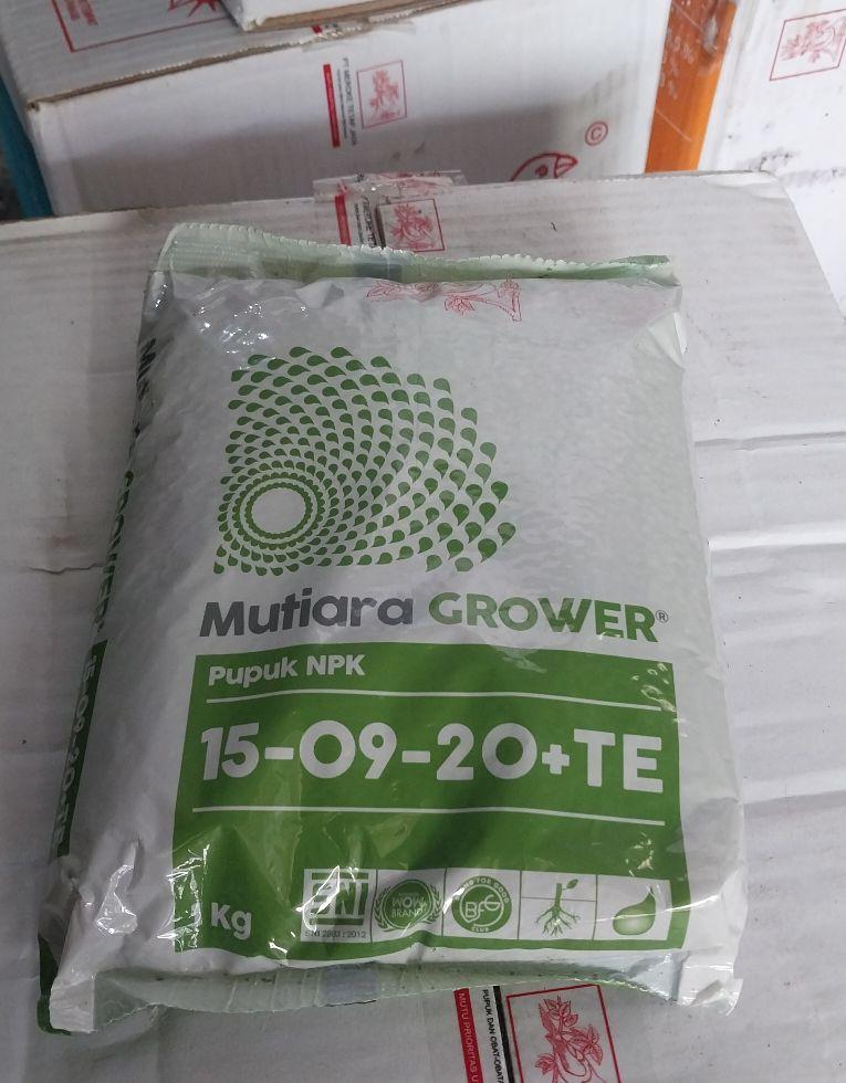 Product Introduction of NPK Mutiara Grower 15.9.20 kemasan 1kg orginal pabrik 0