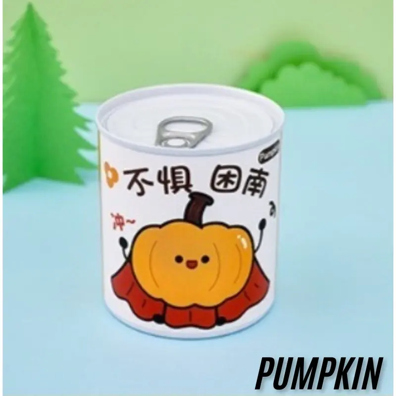 Tanaman Pot Mini Asli / Mini Potted Plant 3