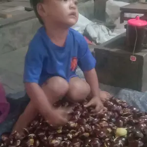 jengkol dan ayam prozen top up pulsa listrik