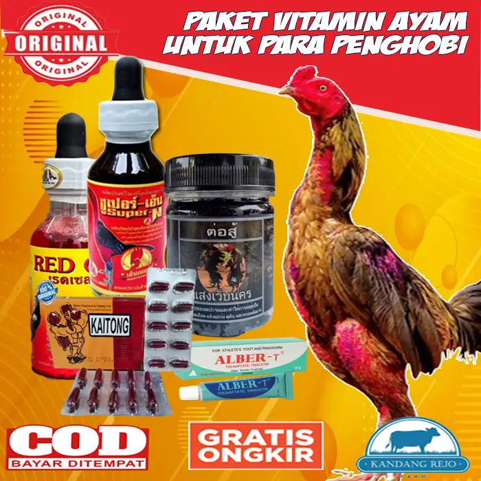 Paket Perlengkapan Jamu Vitamin Ayam Bangkok Untuk Kesehatan