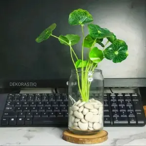 GARANSI PECAH 100% vasbunga kaca bentuk kaleng minimalis cantik bening tanaman