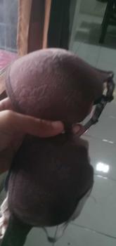 Product Review of ISI 3PCS / BH CUP KECIL MODEL ZIG ZAG AOMILI /SIZE 34/36/38 / Bra Busa from C**7 1