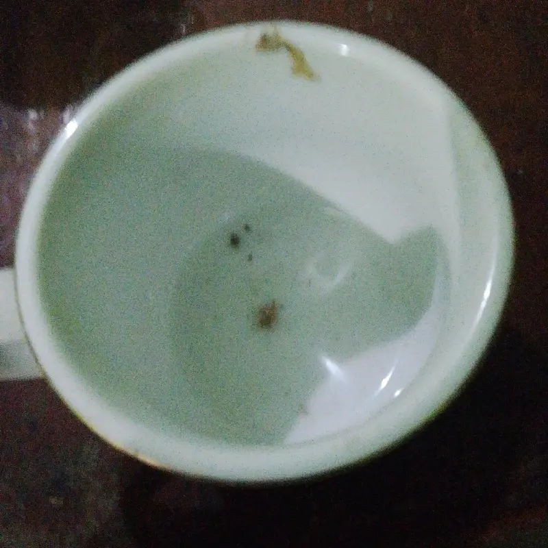 Set 6pc Cangkir Kopi/Teh Sango Berkualitas Tinggi 2