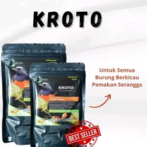 Kroto Oecophylla Premium Baru