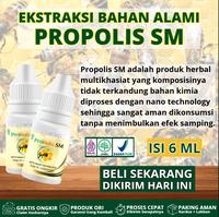 Gambar Propolis Sm Untuk Cantengan Kaki Jempol Bengkak Parah Kuku Rusak Herbal Isi 6ml PALING AMPUH NAMUN SETIAP ORANG HASILNYA BERBEDA - PSM 1 BOTOL dari Mugiherbal Kota Administrasi Jakarta Barat 3 Tokopedia