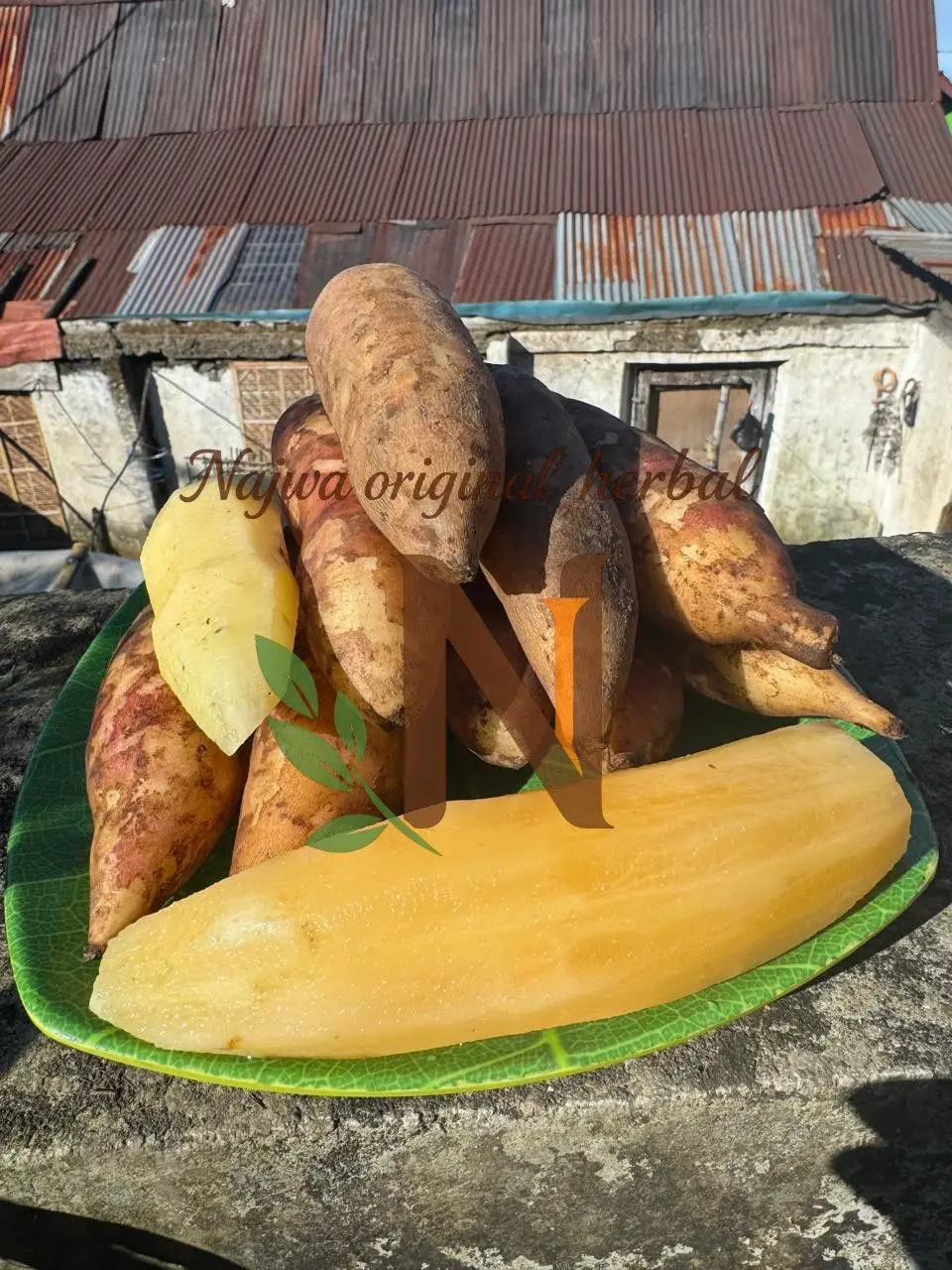 3kg jaminan asli Umbi yakon dari Najwa herbal Premium Super isi 2 ...