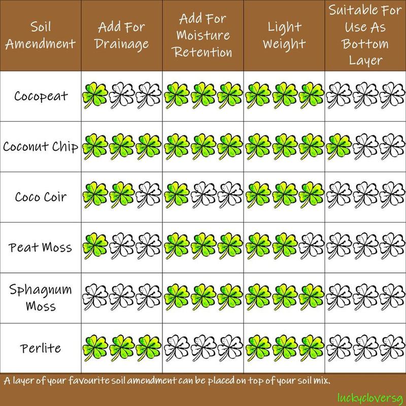 [2L, 4L] Vermiculite For Planting / Gardening / Mixing Into Soil 4