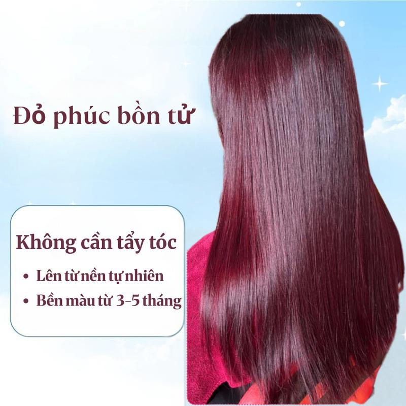  Màu Nhuộm Tóc Phúc bồn tử ánh tím tím đỏ - không cần tẩy lên từ nền tóc đen tự nhiên 