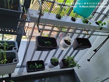 Product Review of Plastic Safety Net Balcony Railing Mesh Protection Net PVC Fencing Gate Guard  Garden Net White Farm Plant from W**r 0