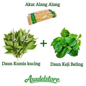Paket Komplit Akar Alang Alang,Kumis Kucing,Keji Beling Segar Alami Organik