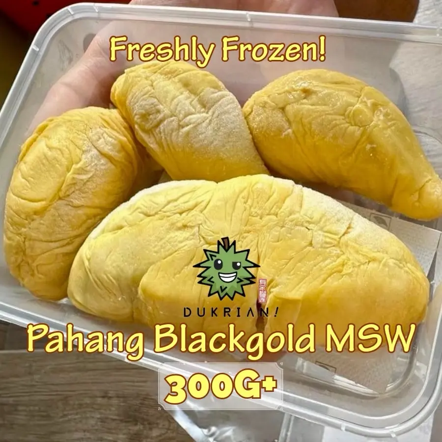 Dukrian! Frozen Pahang MSW Durian! 300gram+