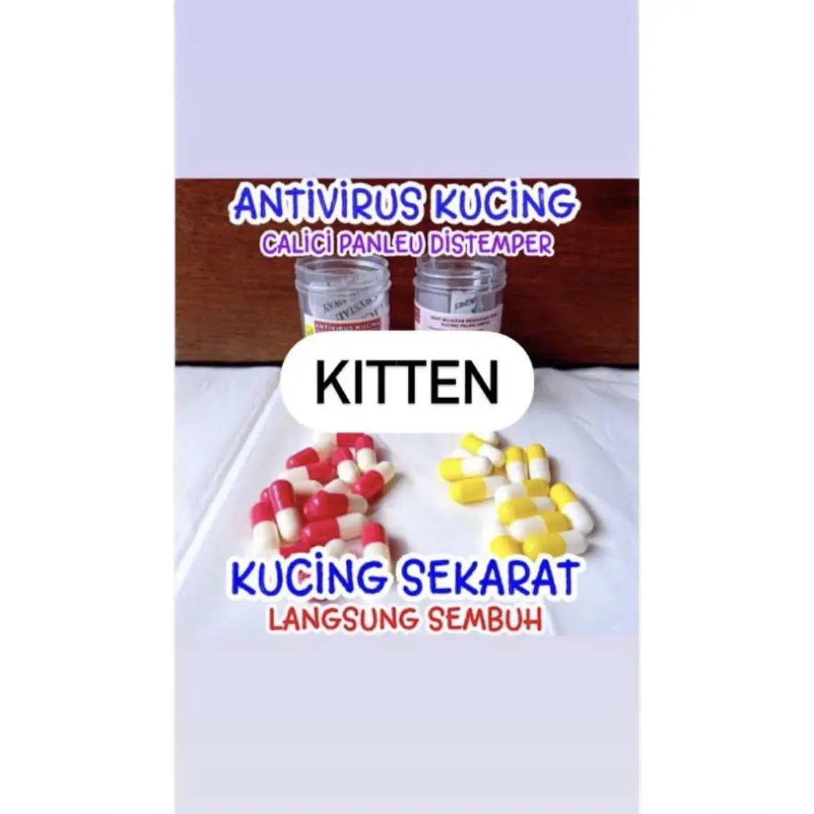 ￼KAPSUL AJAIB - Obat Virus Kucing Calici Panleukopenia Distemper  FIP Paling Ampuh Antivirus Cat