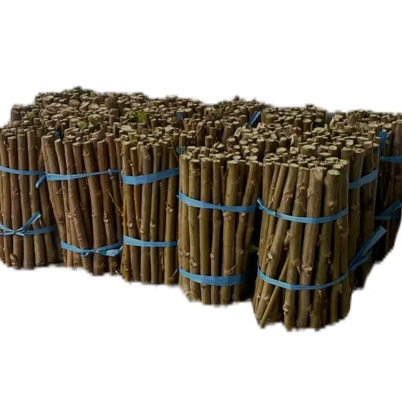 Bibit Stek Telo Papua - Paket Unlimited (30 pcs)  Tanaman untuk Pakan Ternak yang Sehat dan Bergizi. Panjang 20 cm 0
