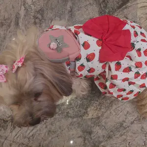 [HACIKO PETSHOP] Dog hair clip ribbon pita lucu  Dog Hair Bow / Cat Hair Bow/Busur jepit rambut anjing dan kucing/Aksesoris Rambut Anjing / Aksesoris Rambut Kucing aksesoris rambut hewan peliharaan