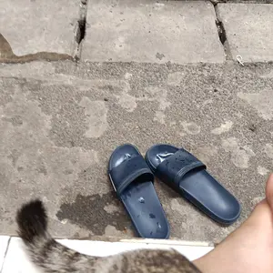 Snack Kucing Paket 65 pcs / 50 pcs Liebao Ishtar Peien Meo Lifecat Makanan Kucing Cemilan Kucing - Minara Cats Supply