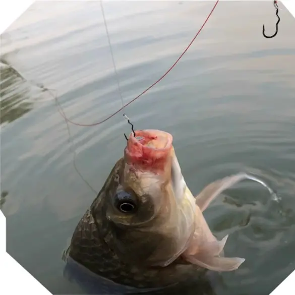 Bingolife Kail Pancing Membalik Otomatis 20 Buah/Pak Kail Pancing Anti Mocel Untuk Ikan Mas Semah Ikan Nila Kail Pancing Kuat Tajam Galatama Ikan Wader Automatic Flipping Fishhook 5
