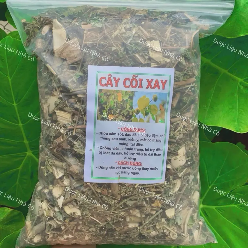 Cây Cối Xay ( Đóng gói 1 kí) hàng loại 1 xanh sạch đẹp trái nhiều