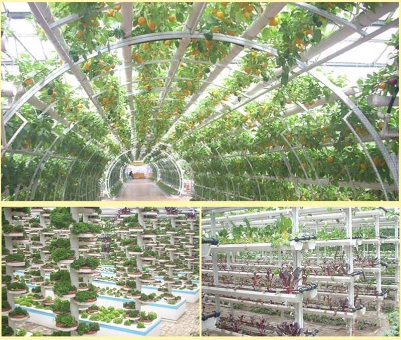 Product Introduction of 50Pcs Nursery Cup Plant Grow Pots Colonization Mesh Basket Holder Net  Planting Soilless  SG2H 60