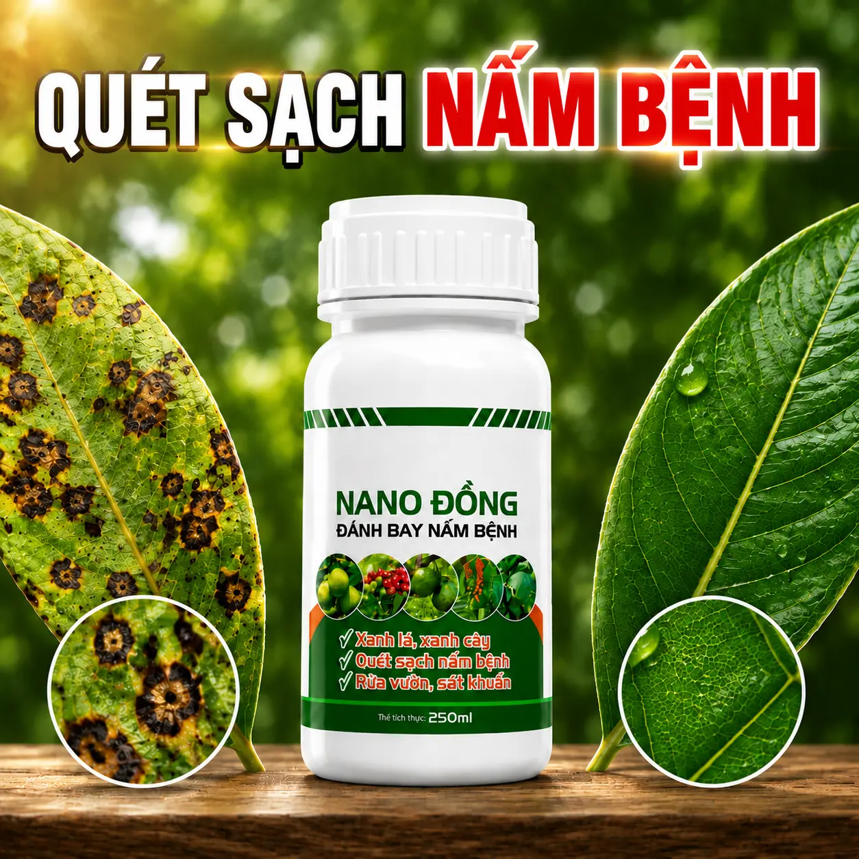 Nano Đồng | Quét Sạch Nấm Bệnh | Đốm Lá, Rỉ Sắt, Thán Thư, Sương Mai, Nấm Hồng | Rửa Vườn, Tẩy Rêu