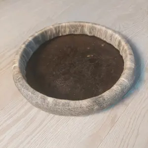 kulit kemprang ukuran 17 cm