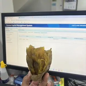 karet o suncreen karet clain