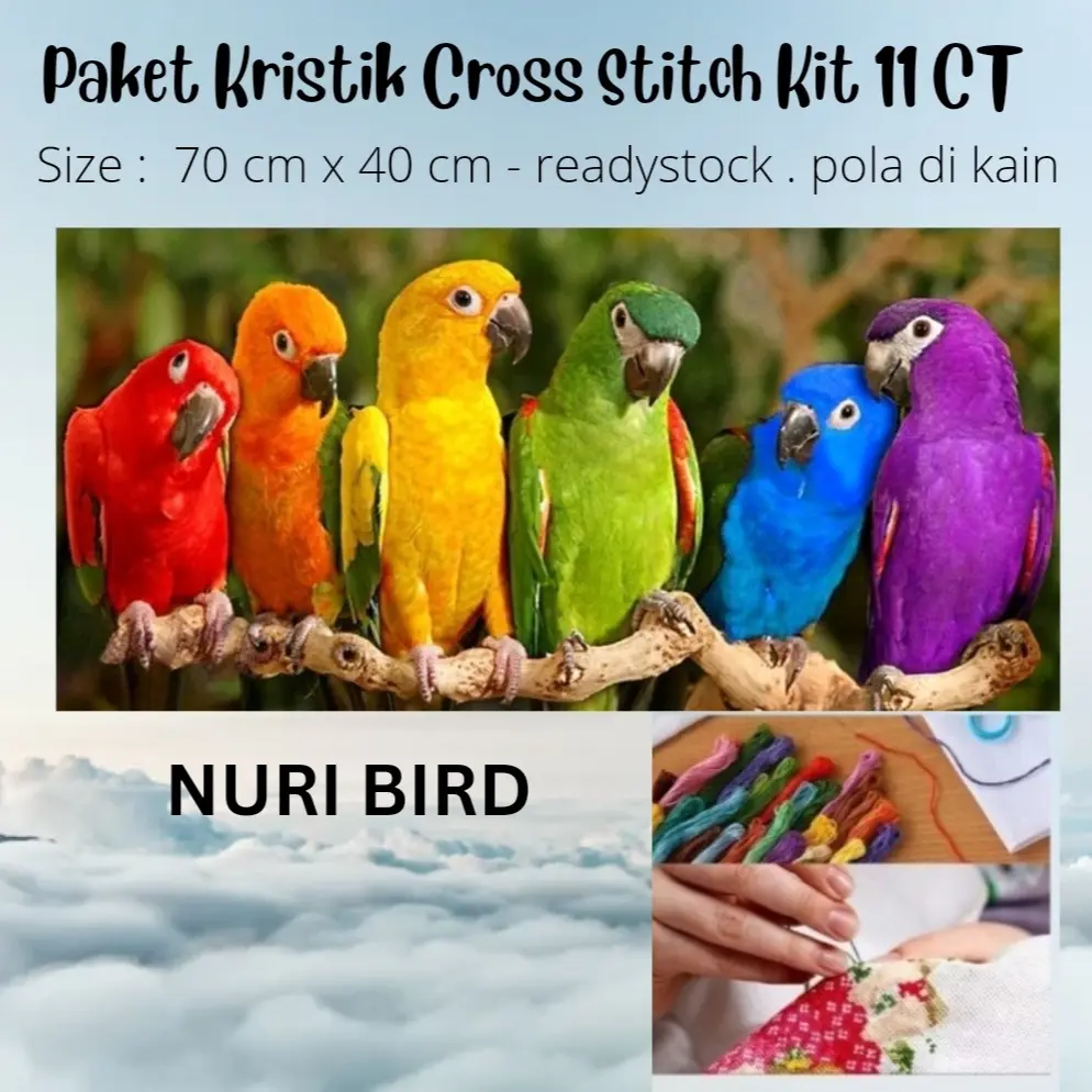 11CT - nuri 