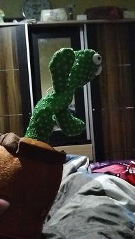 Product Review of COD Mainan Kaktus Bergoyang Boneka Kaktus Goyang dan Bicara Kaktus Joget Ngomong Set Hadiah Toys from e**8 3
