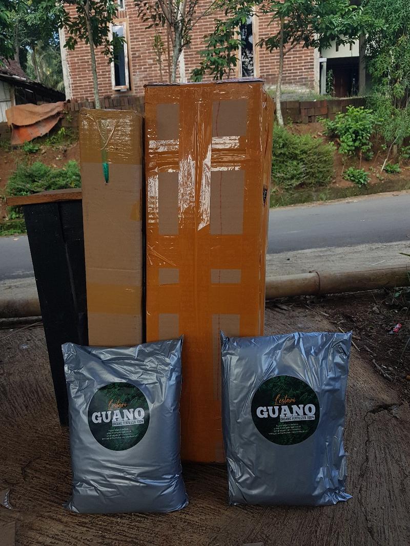 Product Introduction of benih unggul anggur import , 80cm-1 meteran 7