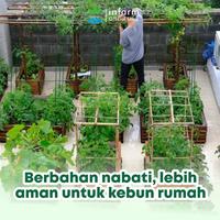 Gambar INFARM - Paket Pengusir Hama, Pestisida Nabati Organik Siap Pakai 500 ml dan Gunting Dahan Ampuh dari Infarm Kota Surabaya 4 Tokopedia