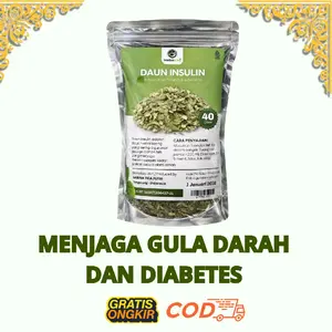 Teh Celup Insulin Atasi Mengurangi Gejala Diabetes Dan Gula Darah 40 Gram