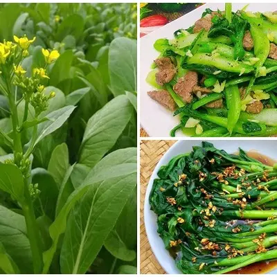 100 Hạt cải ngồng xanh- Lên nhanh, nhanh thu hoạch 2