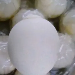 TELUR SPLAT//MAINAN SENSORIK ANAK