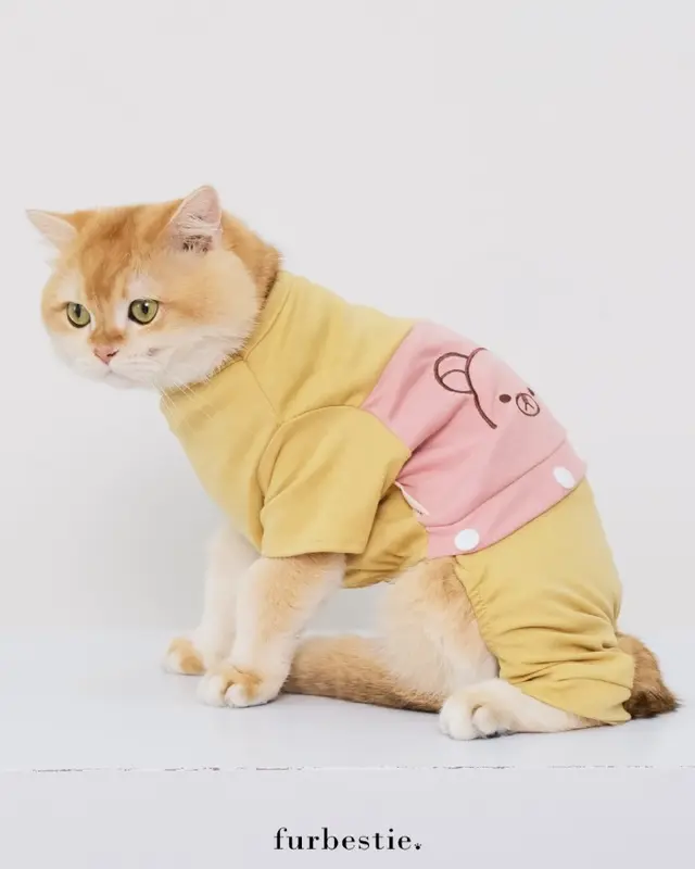 Pomapoo X Furbestie - Baju Kucing dan Baju Anjing Baby Kkuma Jumpsuit 1