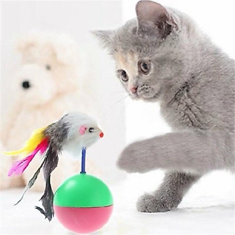 Chuột lật đật, đồ chơi cho thú cưng
