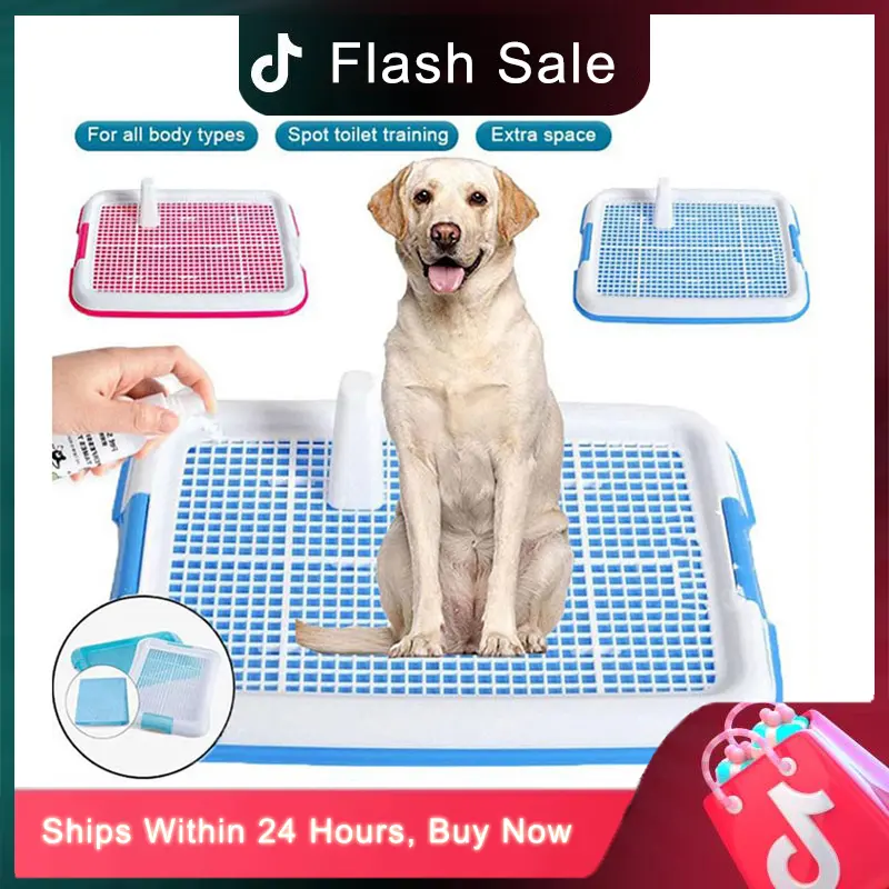 【For Live】Dog Training Potty Pad (With Stand) Dog poop tray litter box Pet Dog Cat Toilet Pee Potty Training Only 99P