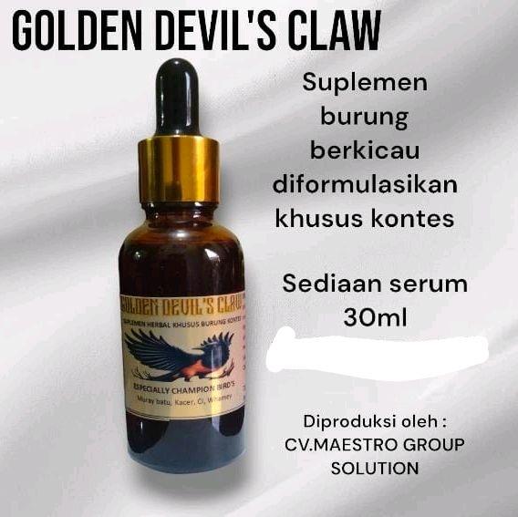 golden maestro diperuntukkan hanya untuk kontes maupun gantang 0