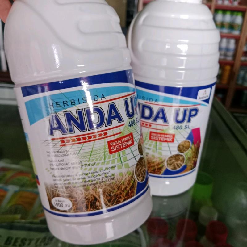 Obat rumput mati permanen ANDAUP 480SL 1000ml Tanaman 2