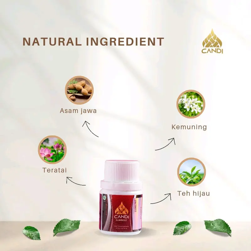 CANDI BEAUTY minuman teh hijau isi 15 1