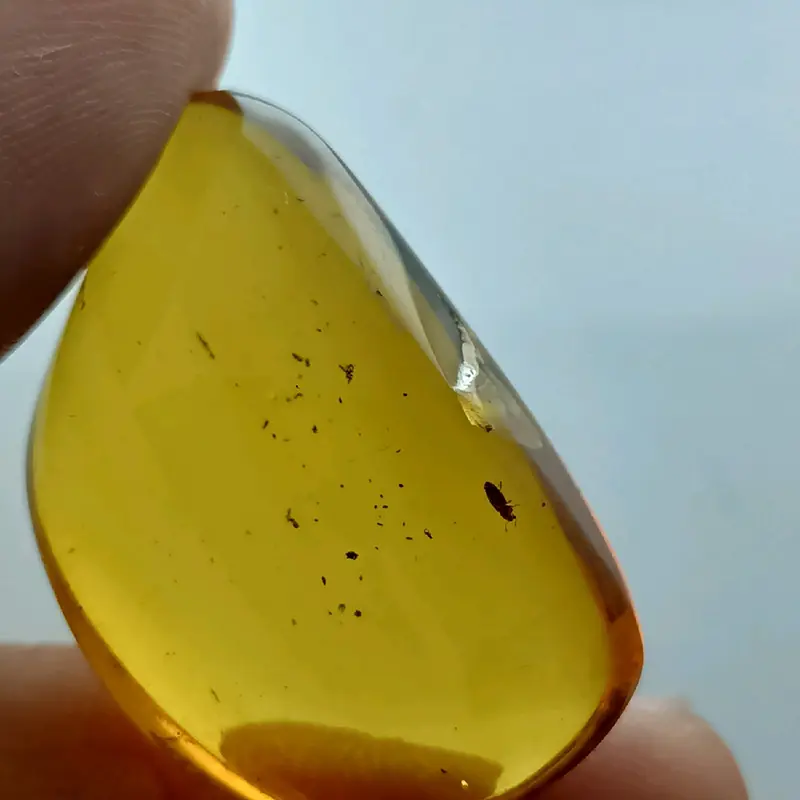 AMBER ISI SERANGGA PURBA ( AMBER INSECT) AMBER BURMITE KODE TT 4 4